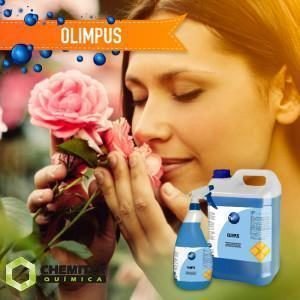 Ambientador Olimpus 1l Spray