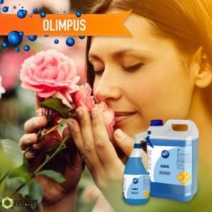 Ambientador Olimpus 5l